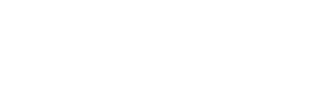 Meta Tech Partner